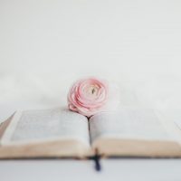 El poder de la oración intercesora El poder de la oración intercesora