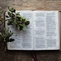 Necesidades por las que debemos interceder Necesidades por las que debemos interceder