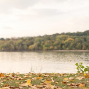 La belleza de empezar de nuevo